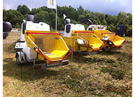 WS 14 25 DT