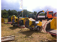 WS 14 25 DT