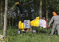 TS 250 M  Wood sorozat� �gapr�t�